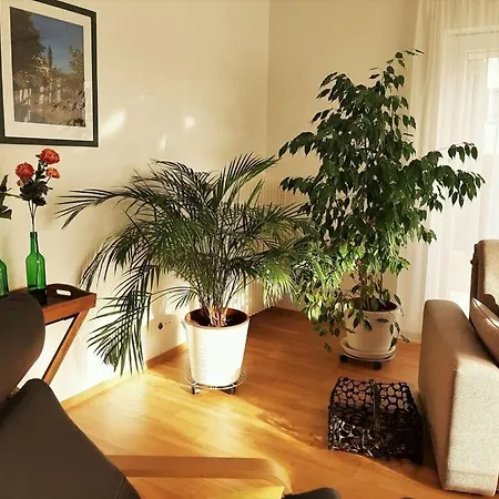 Madeleine Modern Retreat Σπίτι διακοπών Sipplingen